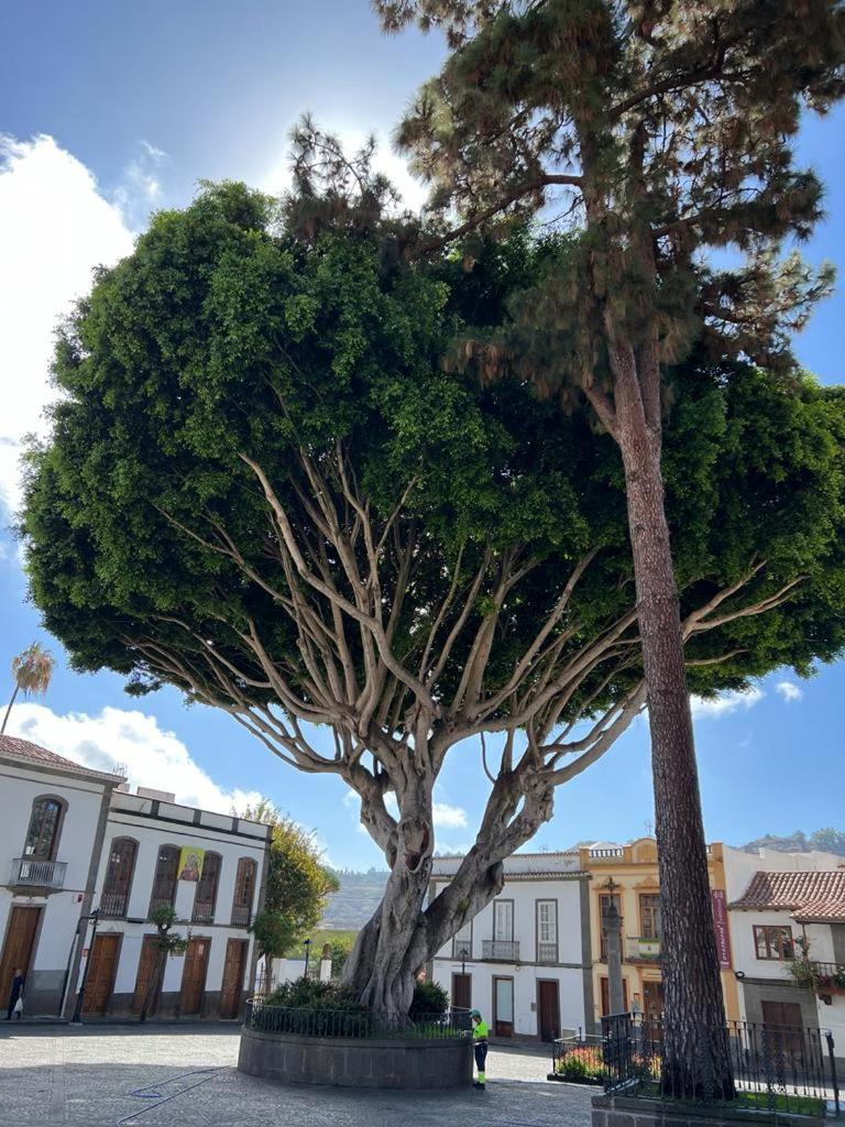 דירות Casa En Teror Centrica Turismo De Ciudad Y Bosques מראה חיצוני תמונה